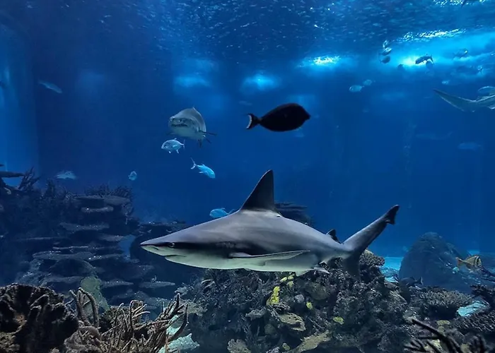 Amazing Flat - Pool And Parking Apartamento Lisboa