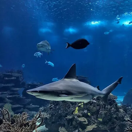 Amazing Flat - Pool And Parking Apartamento Lisboa